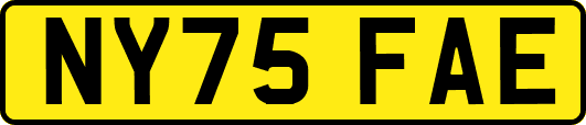 NY75FAE