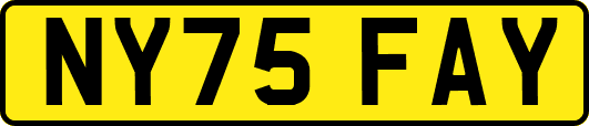 NY75FAY