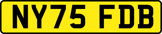 NY75FDB