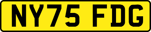 NY75FDG