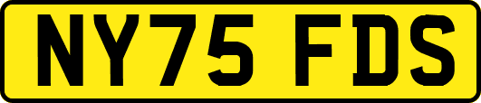 NY75FDS