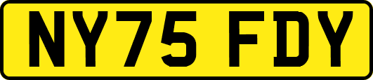 NY75FDY