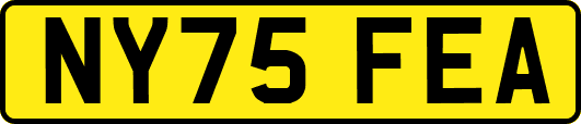 NY75FEA