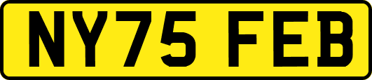 NY75FEB