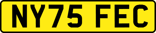 NY75FEC
