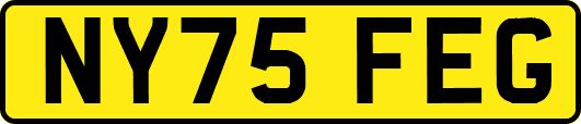 NY75FEG