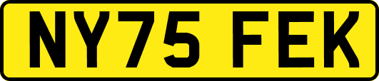 NY75FEK