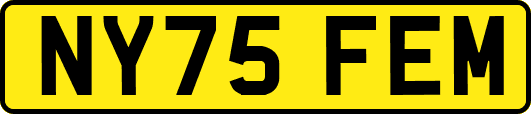 NY75FEM