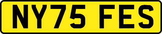 NY75FES