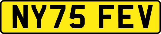 NY75FEV