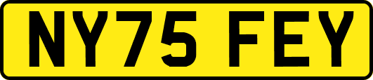NY75FEY