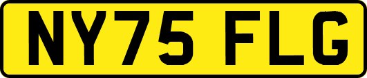 NY75FLG