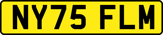 NY75FLM