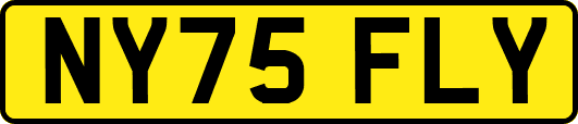 NY75FLY