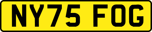 NY75FOG