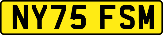 NY75FSM