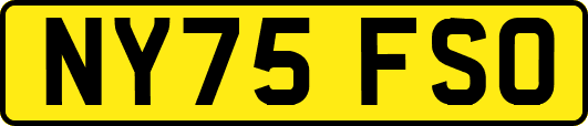 NY75FSO