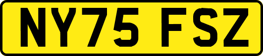 NY75FSZ