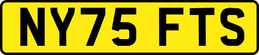 NY75FTS