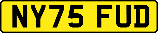NY75FUD