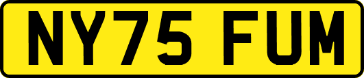 NY75FUM