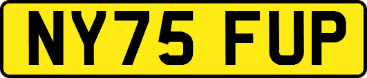 NY75FUP
