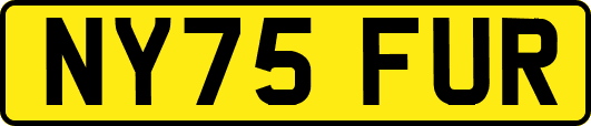 NY75FUR