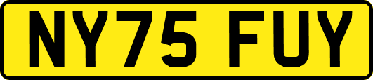 NY75FUY