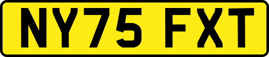 NY75FXT
