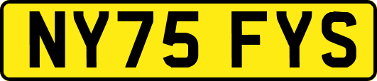 NY75FYS