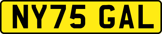 NY75GAL