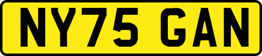 NY75GAN