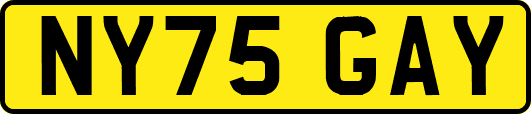 NY75GAY