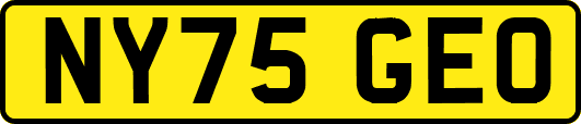 NY75GEO