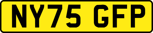 NY75GFP