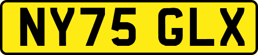 NY75GLX