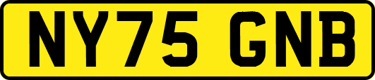 NY75GNB