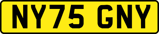 NY75GNY