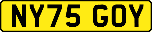 NY75GOY