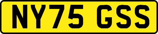 NY75GSS