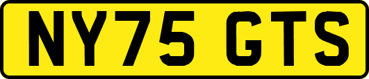 NY75GTS