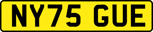 NY75GUE