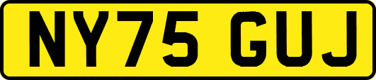 NY75GUJ