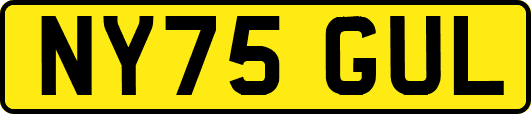 NY75GUL