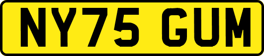 NY75GUM