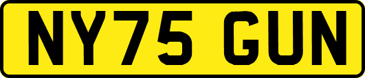 NY75GUN