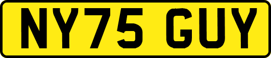NY75GUY