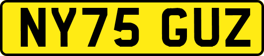 NY75GUZ