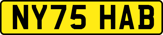 NY75HAB