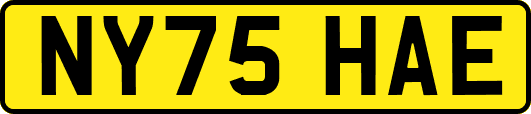 NY75HAE
